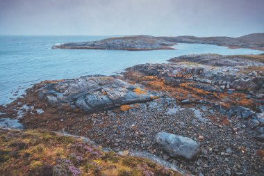 Bulutlu gökyüzü ile kayalık deniz kıyısı. Vahşi doğa. Norveç 'in güzel doğası. Lofoten Adaları