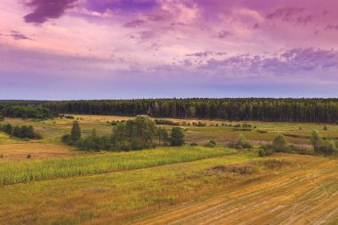 Günbatımında akşam gökyüzü olan sonbahar kırsal manzarası. Ufukta ekilebilir tarlalar ve çam ağaçları var.