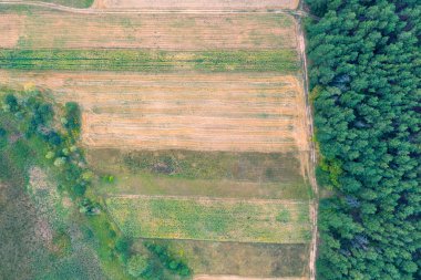 Ormanın kenarındaki tarıma elverişli güzel bir arazinin üst manzarası. İlkbaharın başlarında kırsal alan. Doğa arkaplanı