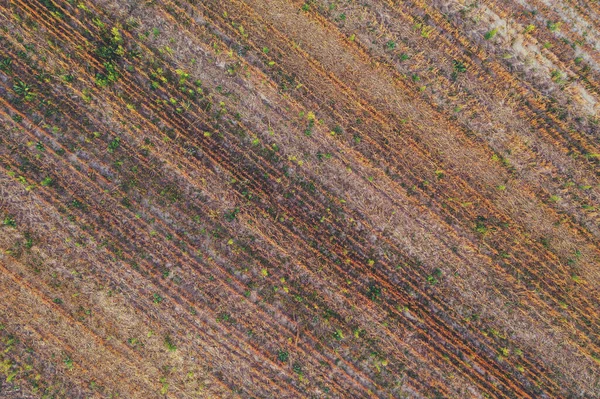 Bovenaanzicht Van Een Prachtig Akkerbouwveld Het Platteland Herfst Landelijk Landschap — Stockfoto