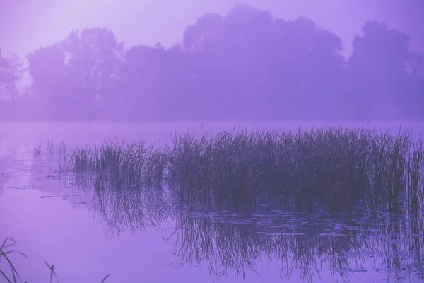 Gölün Üzerinde Sihirli Gün Doğumu Sabahın Erken Saatleri Puslu Kırsal — Stok fotoğraf