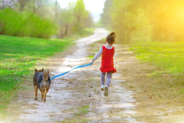 Köpekli küçük kız. — Stok fotoğraf