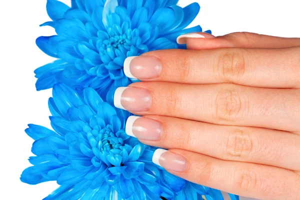 Mano femminile con manicure francese — Foto Stock