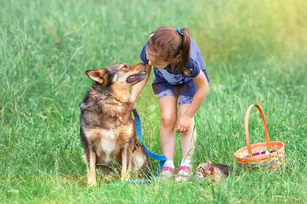 Little girl with dog and kitten — Stock Photo, Image