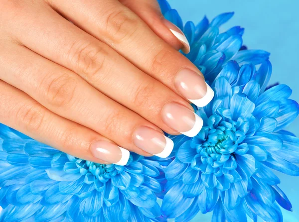 La mano de la mujer en flor — Foto de Stock