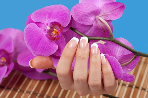 Mooie vrouw de hand met perfecte Franse manicure — Stockfoto