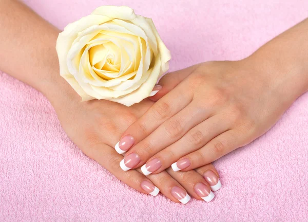 Belle mani di donna con manicure francese — Foto Stock