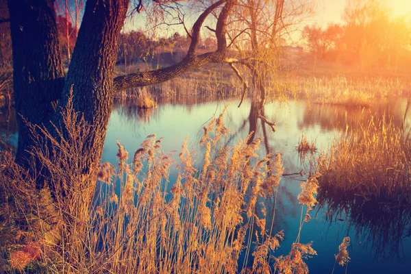 Countryside autumn view — Stock Photo, Image