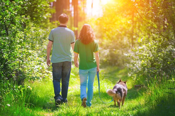 Couple walking with dog — Stock Photo, Image