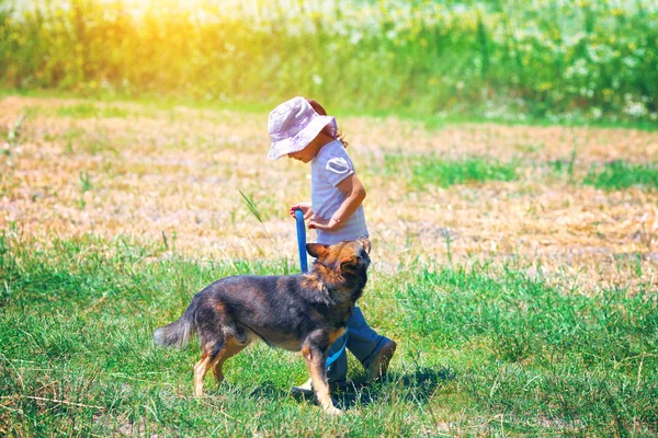 Flicka promenader med hund — Stockfoto