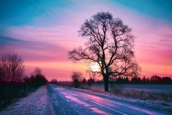 Belo nascer do sol de inverno — Fotografia de Stock