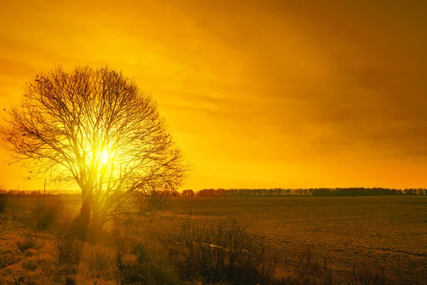 Paisagem rural — Fotografia de Stock