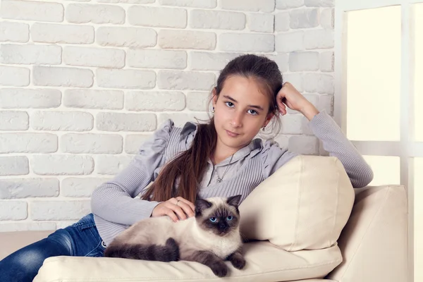 Girl with siamese cat relaxing in armchair — Stock Photo, Image
