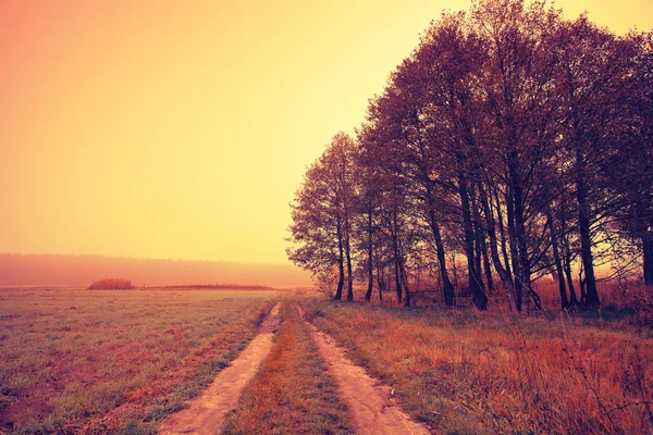 Herfst veld weg en bomen — Stockfoto