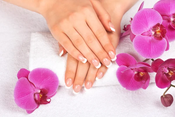 Mooie vrouw handen met perfecte Franse manicure — Stockfoto