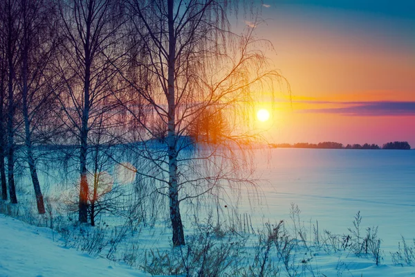 Pôr do sol sobre o campo nevado — Fotografia de Stock