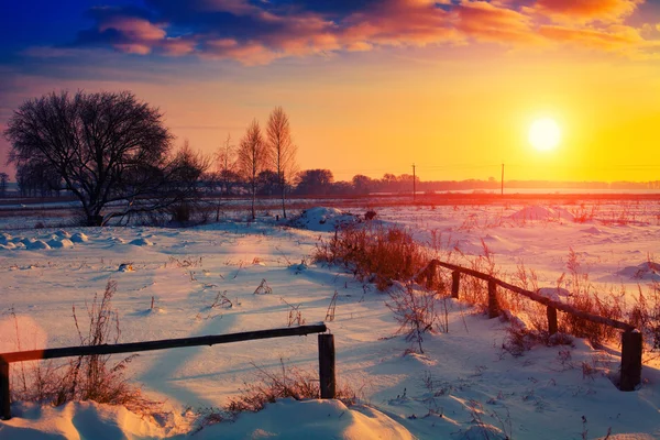 Snowy rural road — Stock Photo, Image