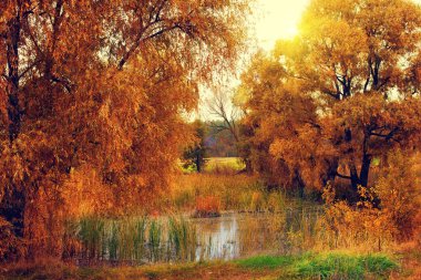 Gün batımında sonbahar kırsal manzara.