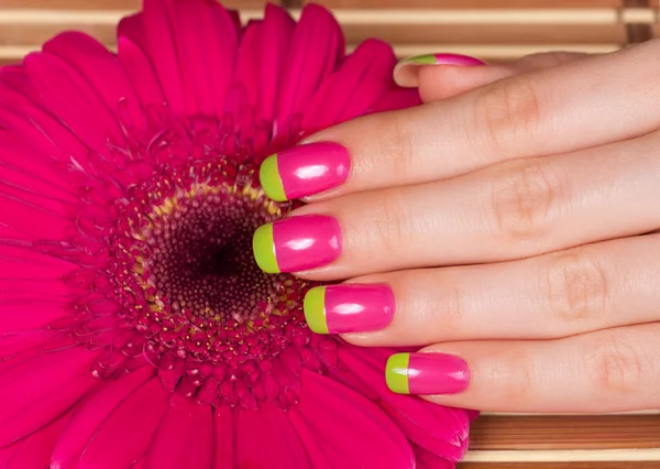 Ręka z manicure na kwiat gerbera — Zdjęcie stockowe