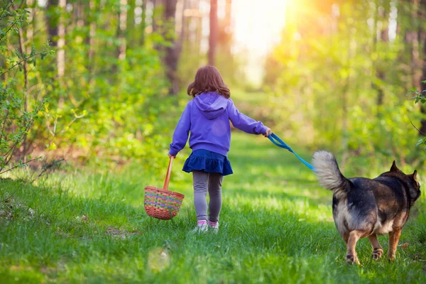 Little girl walking with dog — Stock Photo, Image