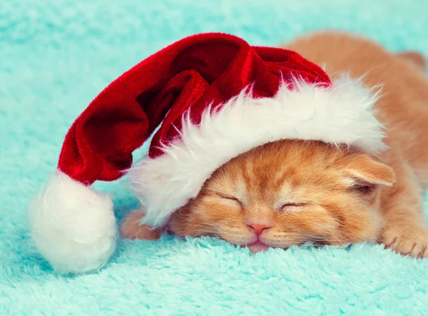 Kitten in Santa's hat — Stock Photo, Image