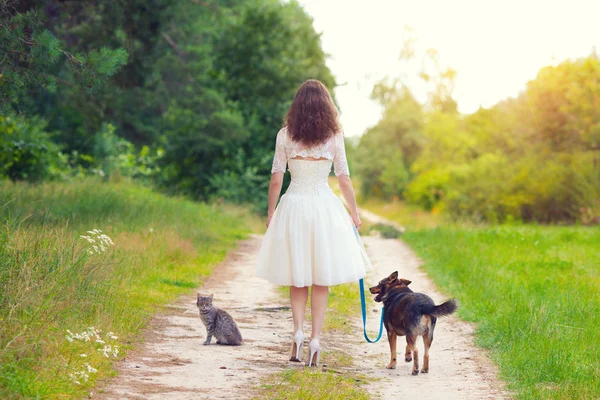 Köpek ve kedi kırsal yolda gelinle — Stok fotoğraf