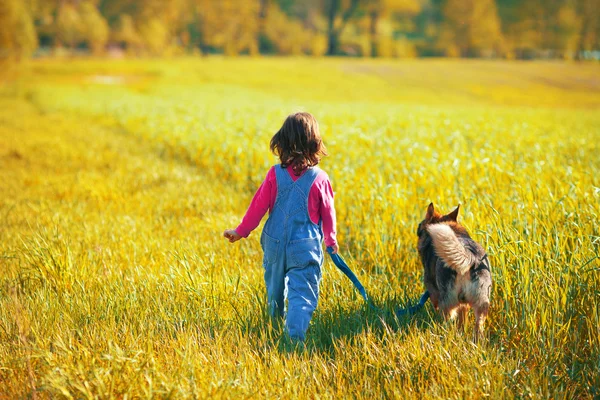 Flicka med hund i fältet — Stockfoto