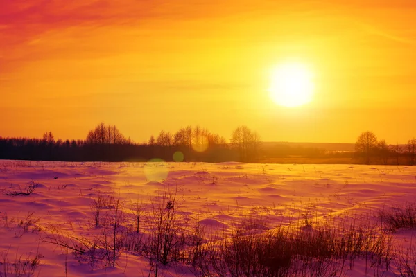 Campo no inverno ao pôr do sol — Fotografia de Stock