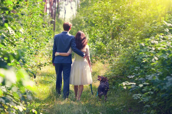 Young newlyweds with dog — Stock Photo, Image