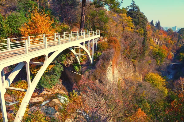 Jardín botánico en Tiflis — Foto de Stock