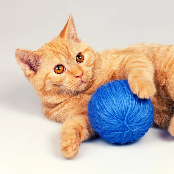 Χαριτωμένο γατάκι με κουβάρι — Φωτογραφία Αρχείου