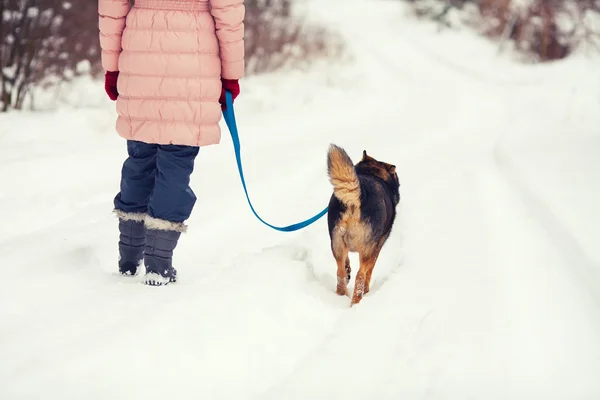 Kvinna med hund promenader på snöiga gatan — Stockfoto