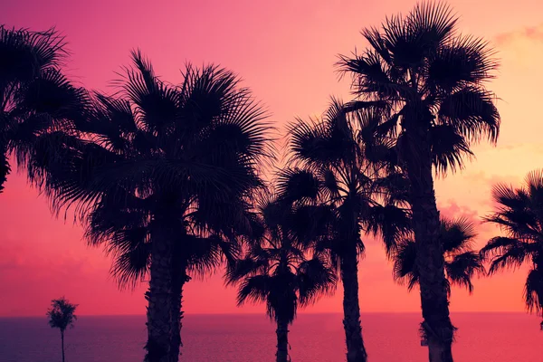 Puesta de sol mágica rosa sobre playa tropical —  Fotos de Stock