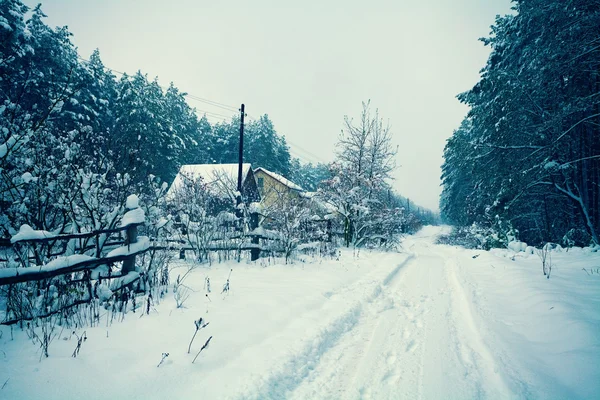 Snöiga landskapet — Stockfoto