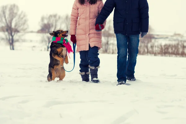 Jeune couple marchant avec chien — Photo