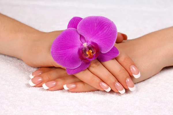 Mooie vrouwelijke handen met Franse manicure — Stockfoto