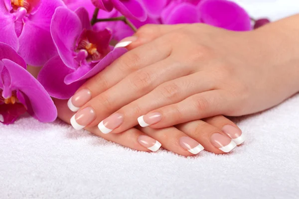 Mooie vrouwelijke handen met Franse manicure — Stockfoto