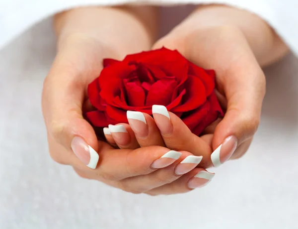 Beautiful female hands with french manicure — Stock Photo, Image