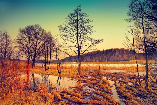 Counrtyside sonbahar görünümü