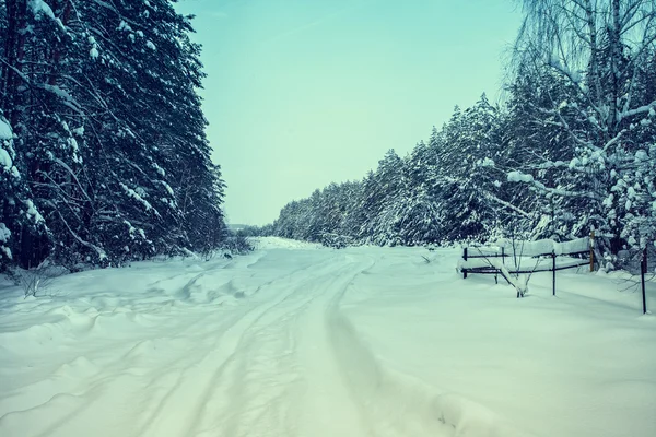 Hiver à la campagne — Photo