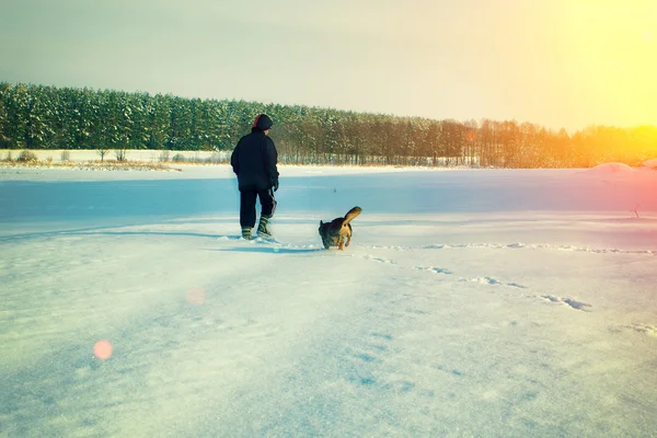 Man walking with dog — Stock Photo, Image