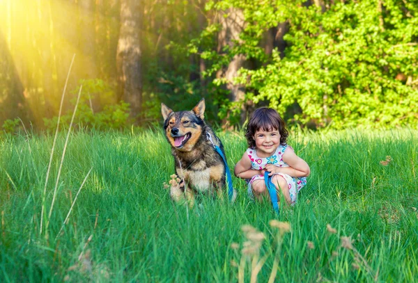 Köpekli küçük kız. — Stok fotoğraf