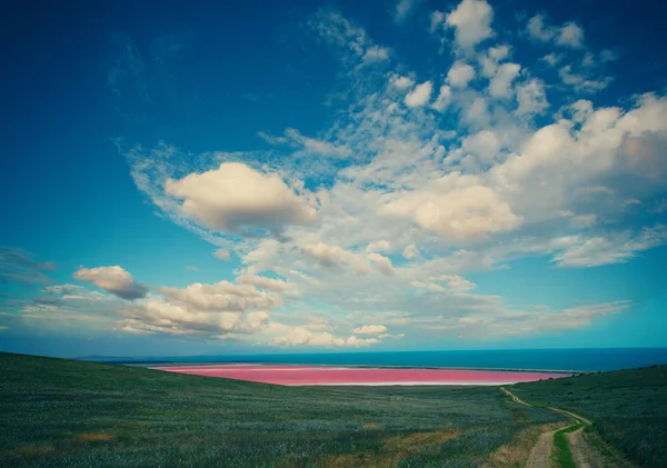 Влітку сільських Панорама — стокове фото