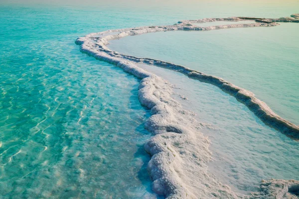 Costa do mar morta — Fotografia de Stock