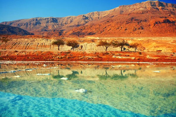 Olu deniz — Stok fotoğraf