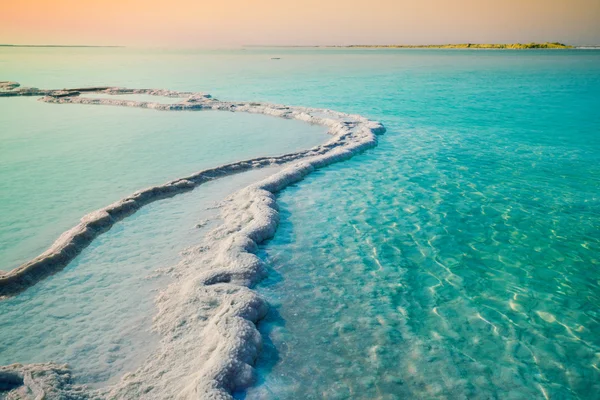 Dead sea — Stock Photo, Image