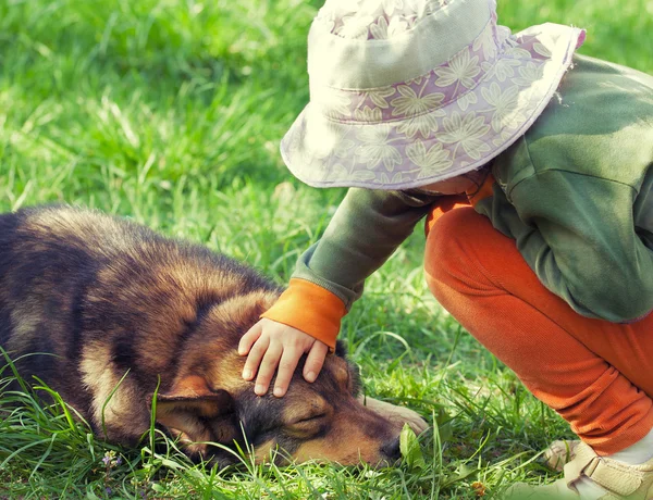 Liten flicka med hund — Stockfoto