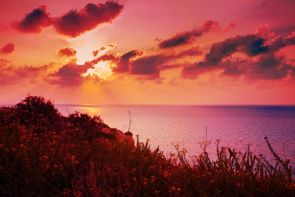 海の上の夕日 — ストック写真