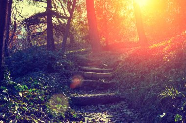 Gün batımı, Georgia ülke Tbilisi City Botanik Bahçesi