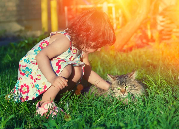 Küçük kız kedi — Stok fotoğraf